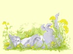 Wart's Nap, Picture Book Childrens Story and Wonderful Art