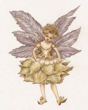 Feather Faery