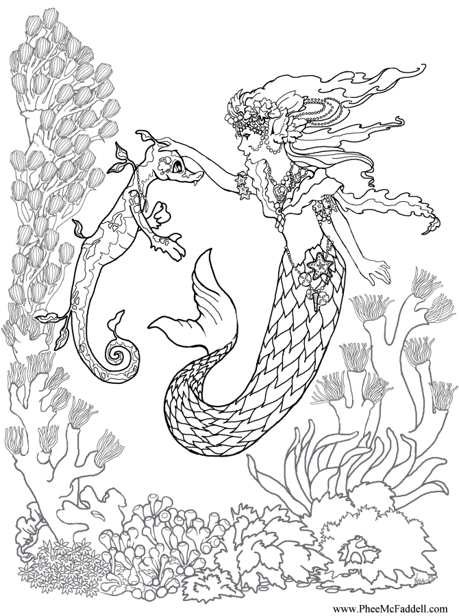 Mermaid Training a Sea Dragon www.pheemcfaddell.com